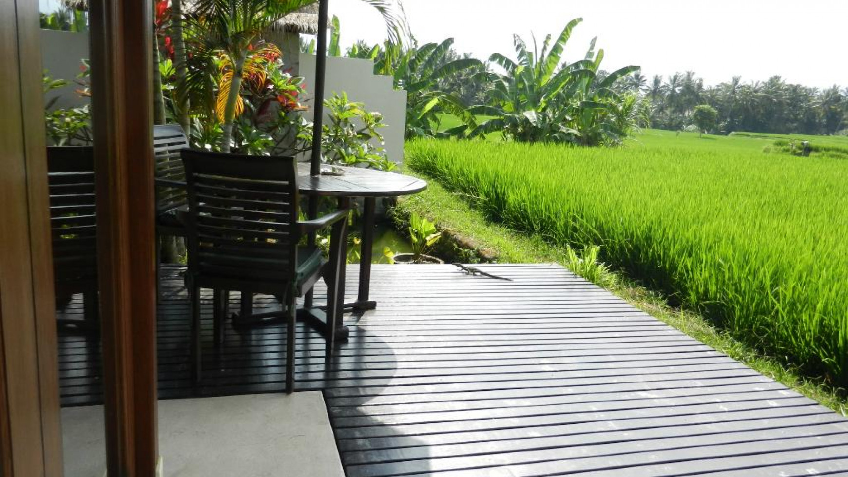 Amazing Villa Complex (5 Villas) on 1000 sq m of Freehold Land with Stunning Views 5 Minutes from the Center of Ubud