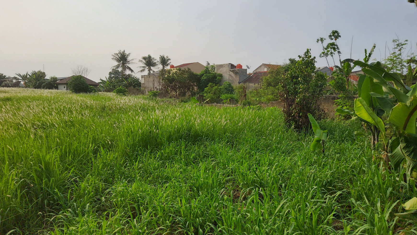 Jual Cepat Tanah Luas, Cocok tuk Perumahan cluster lokasi di Serpong, Tangerang Selatan..