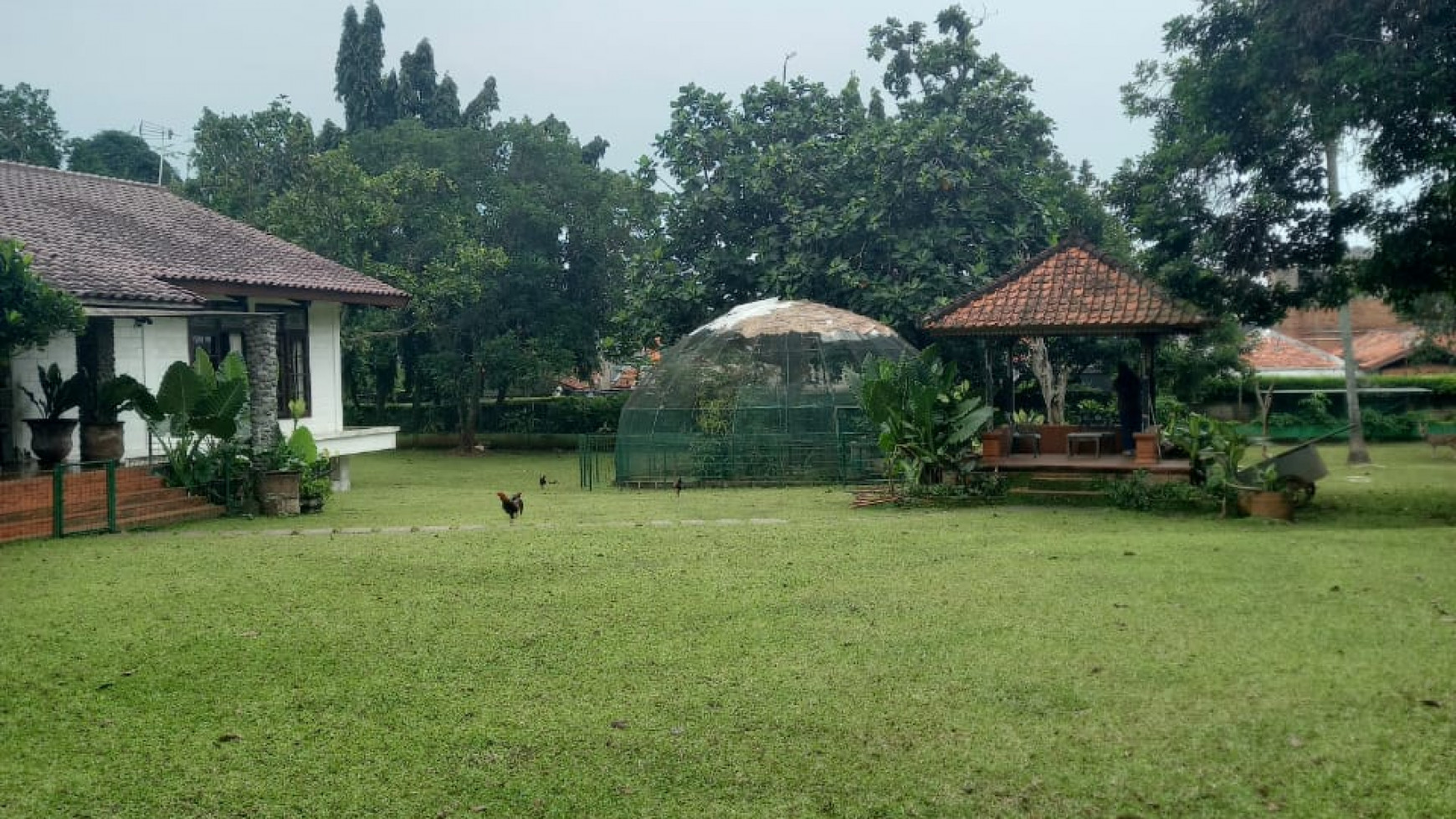 Dijual segera Tanah kebun luas dan nyaman dekat mrt lebak bulus 