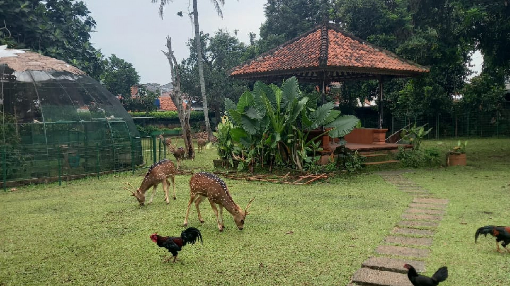 Dijual segera Tanah kebun luas dan nyaman dekat mrt lebak bulus 