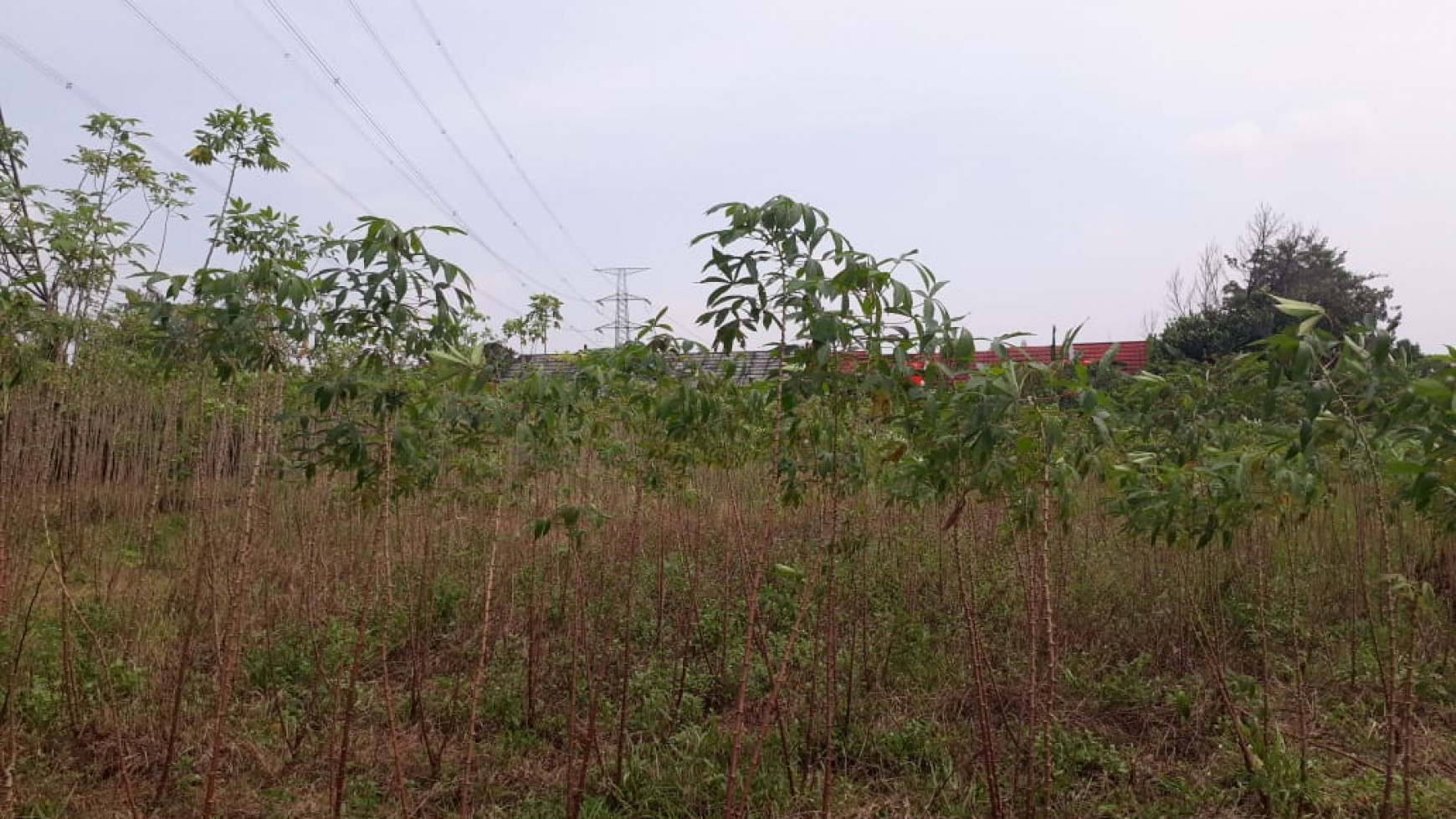 Tanah Luas Siap Bangun Cocok Untuk Cluster Di Sawangan.