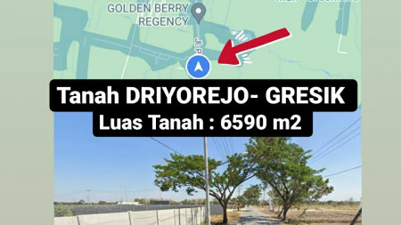 Dijual Tanah Nol Jalan Driyorejo Gresik Jawa Timur - Luas 6590 m2 ( 33Ãƒ-200 ) - SHM - Strategis cocok buat Gudang , Pabrik , Workshop dll