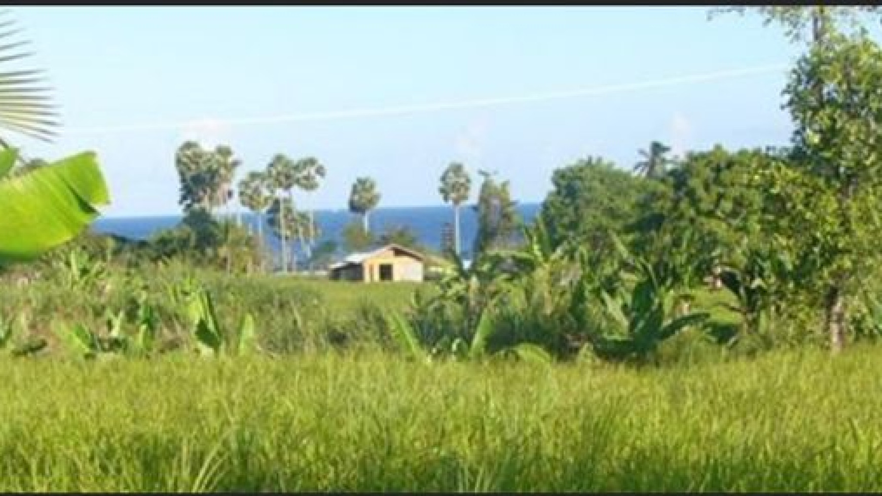 2.600 sqm of beautiful freehold land just minutes walk to the Flamingo beach club and a surfing beach 