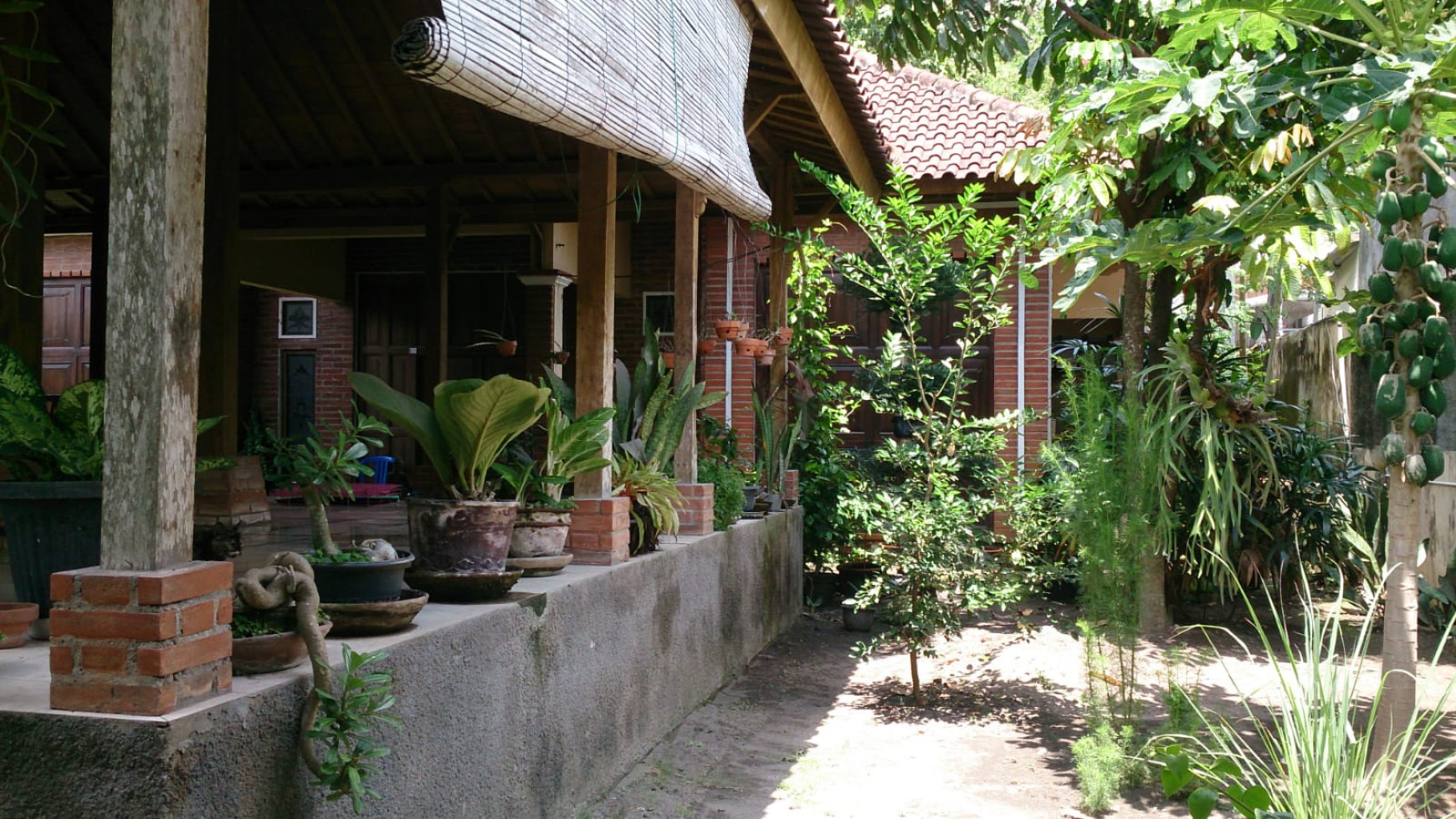 Rumah Joglo Lokasi Asri Cocok Untuk Rumah Tinggal / Guest House Di Kasongan bantul