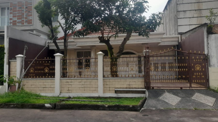 Rumah Siap Huni dengan Halaman Luas @Gading Serpong