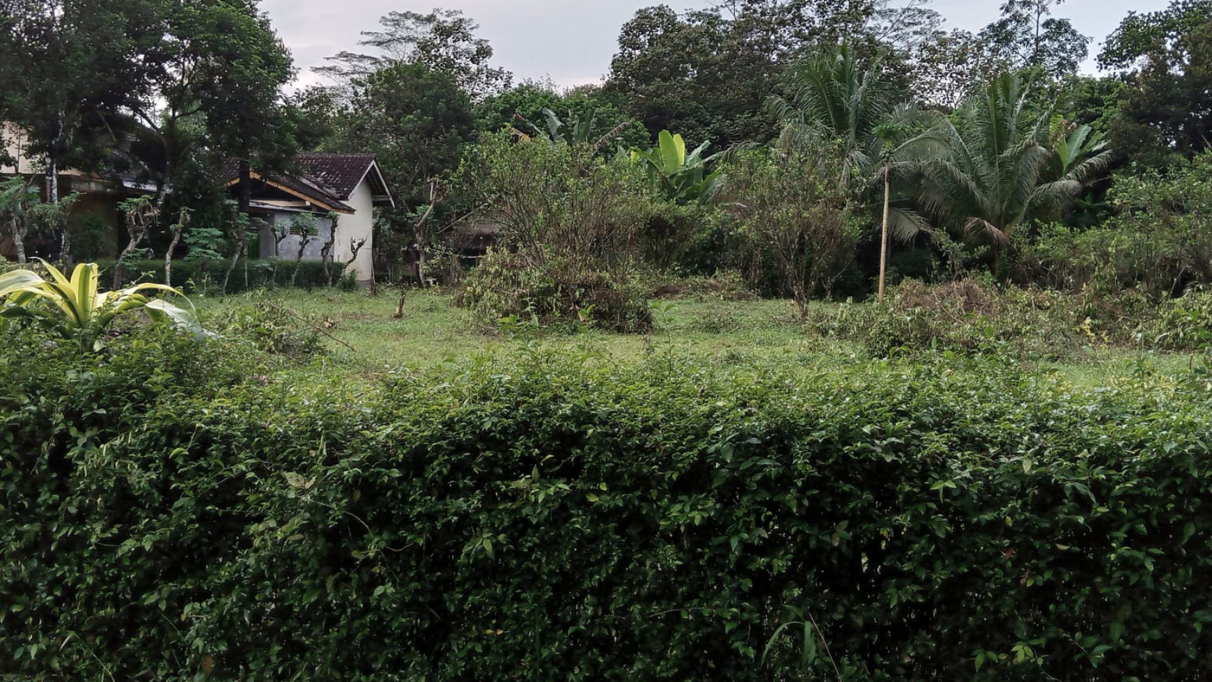 TANAH LUAS DI KAWASAN BOROBUDUR MAGELANG