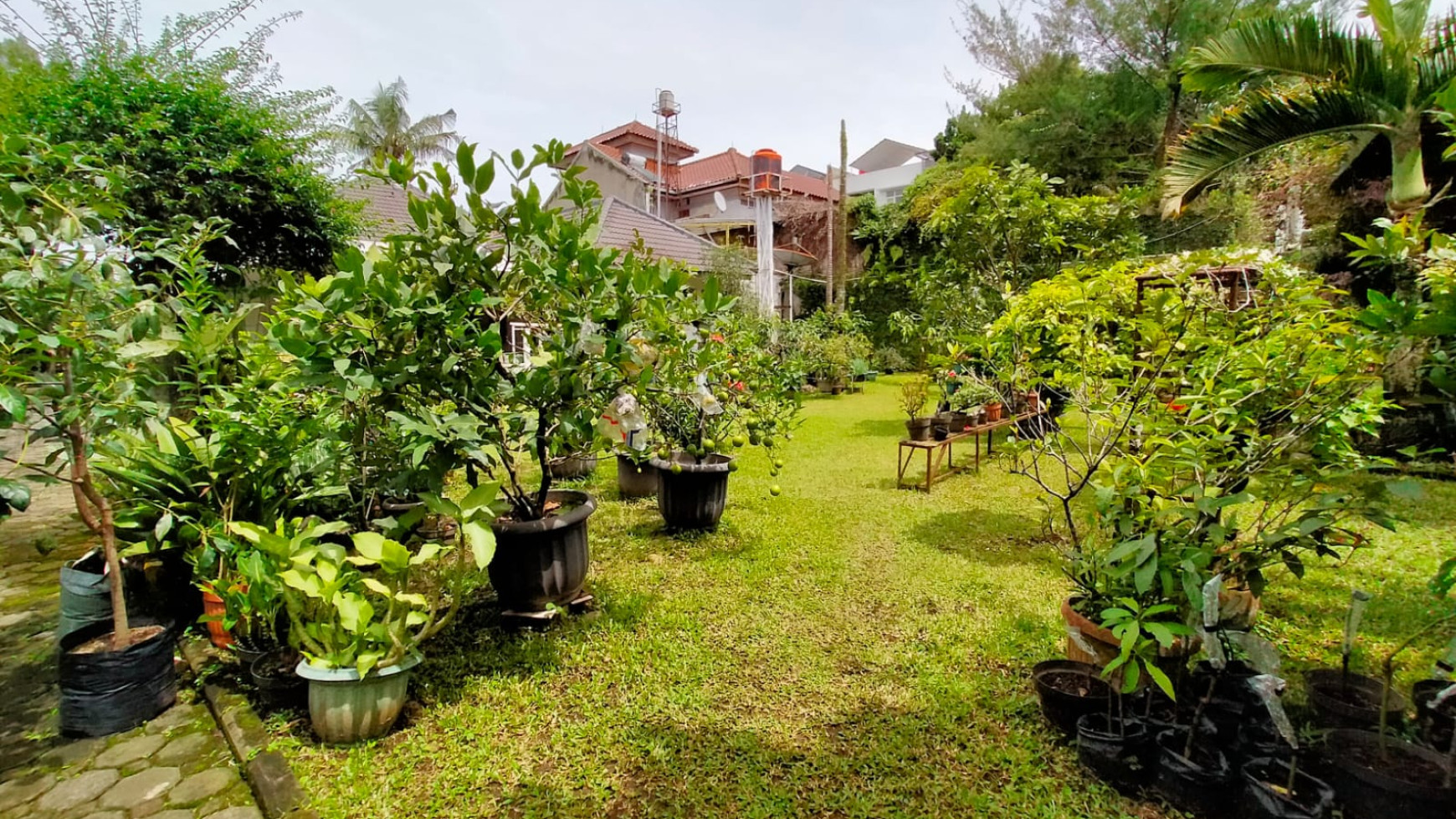 Rumah Asri dan Nyaman di Kompek Setramurni, Bandung