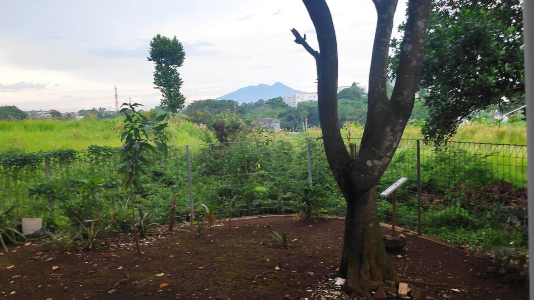 Rumah Siap Huni dengan Halaman Luas @Cilodong Kalibaru, Sukmajaya, Depok