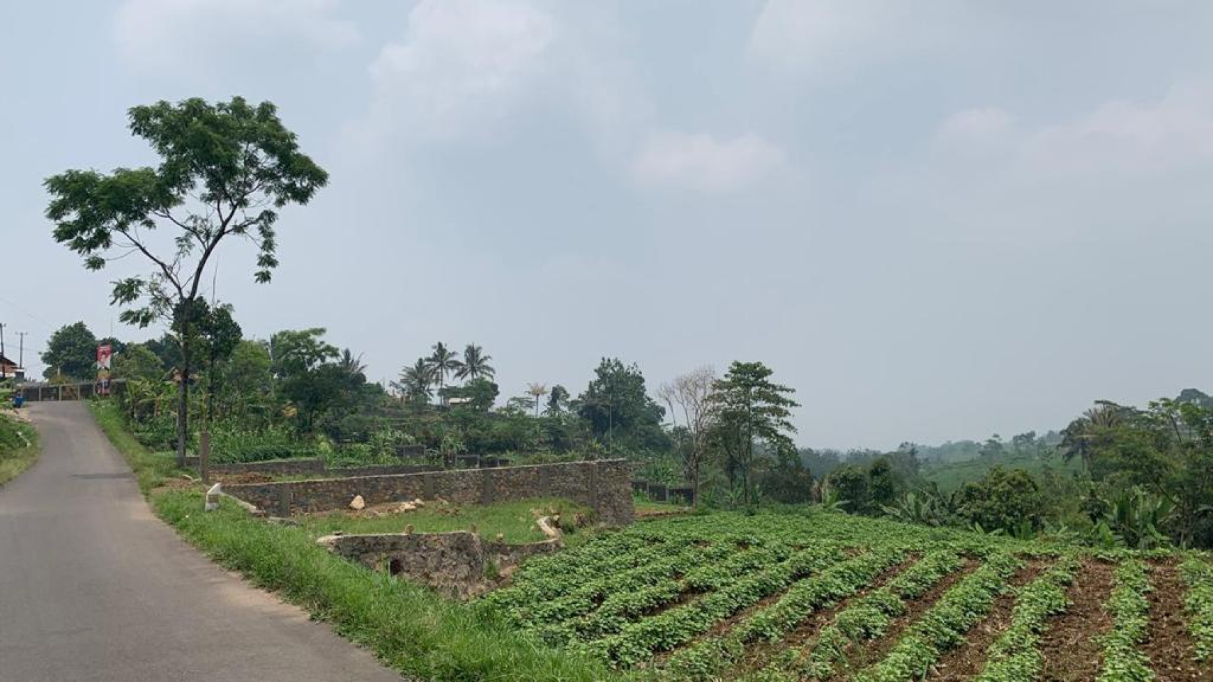 Di Jual lahan cantik di Ciampe Bogor Gunung Bundar