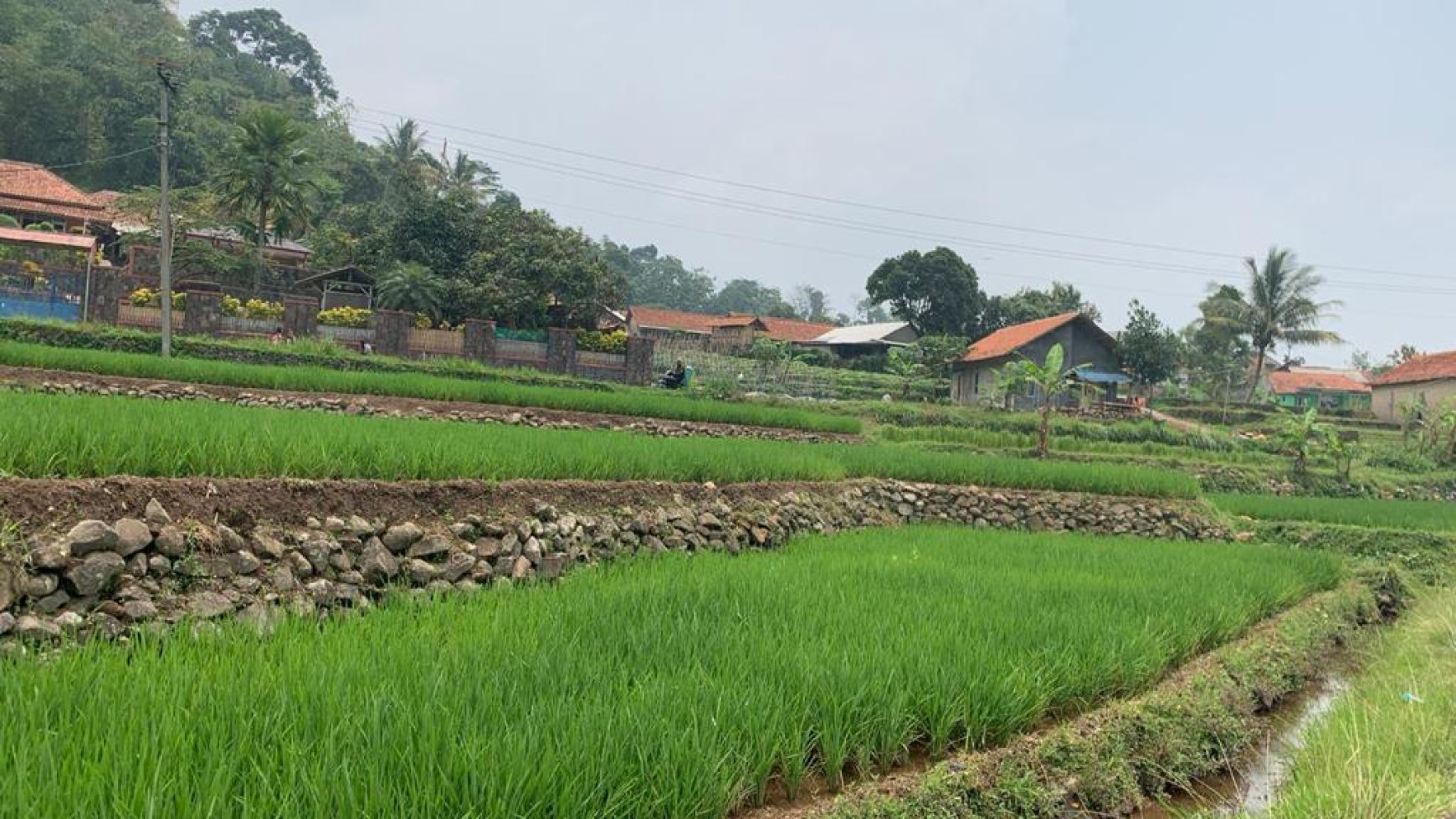 Di Jual lahan cantik di Ciampe Bogor Gunung Bundar