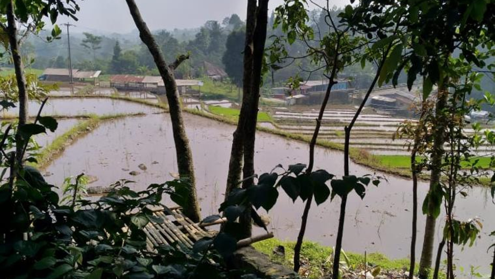 Di Jual lahan cantik di Ciampe Bogor Gunung Bundar