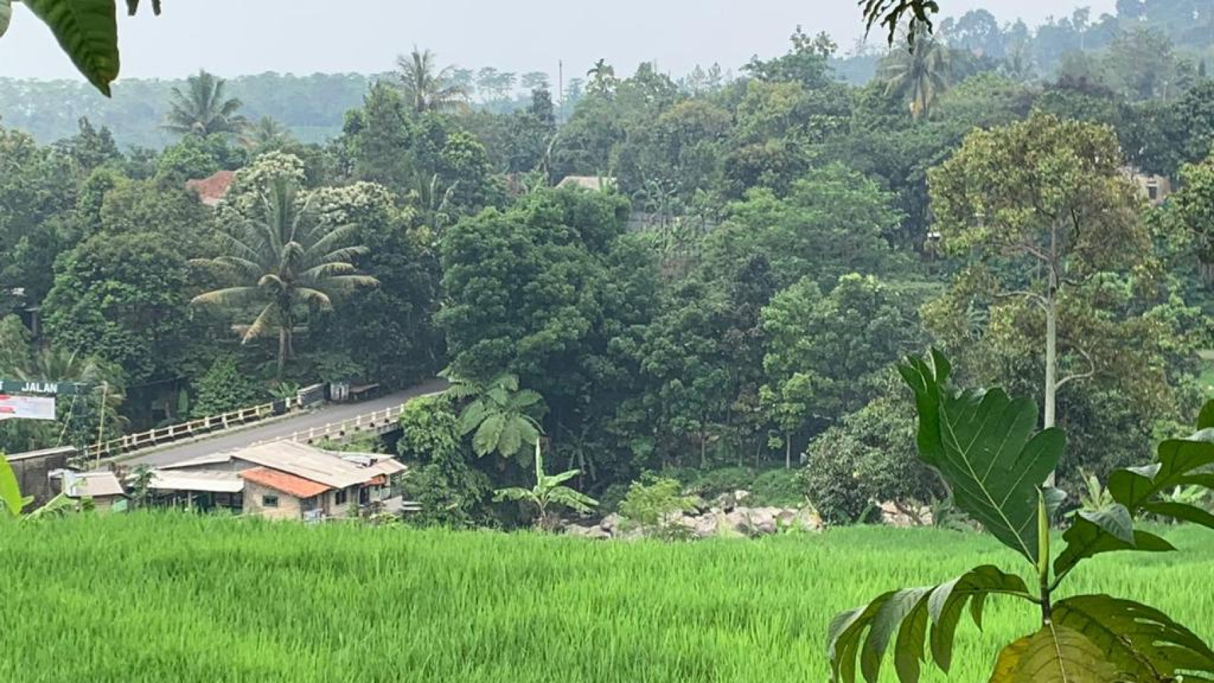 Di Jual lahan cantik di Ciampe Bogor Gunung Bundar