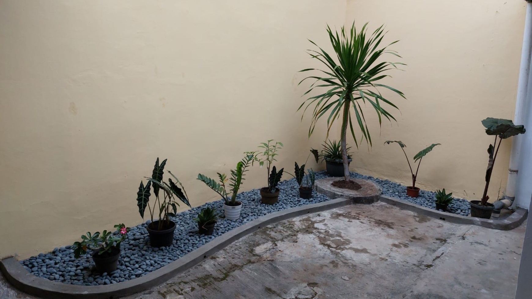 Rumah rapi di Griya Loka