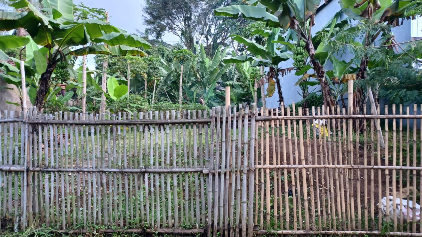 tanah luas di lembah sukaresmi