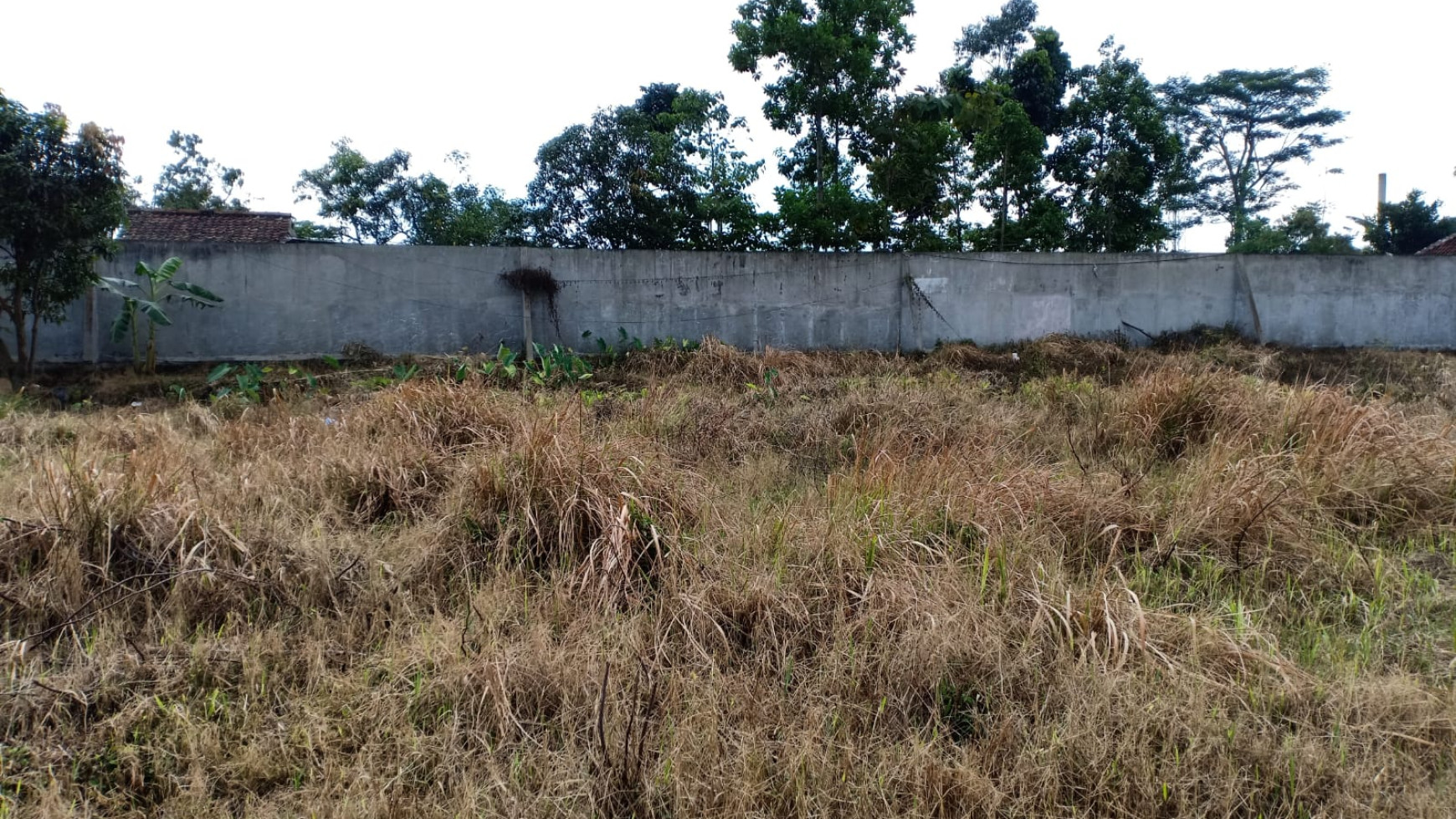 Kavling di jalan Cihaneut, Majalaya