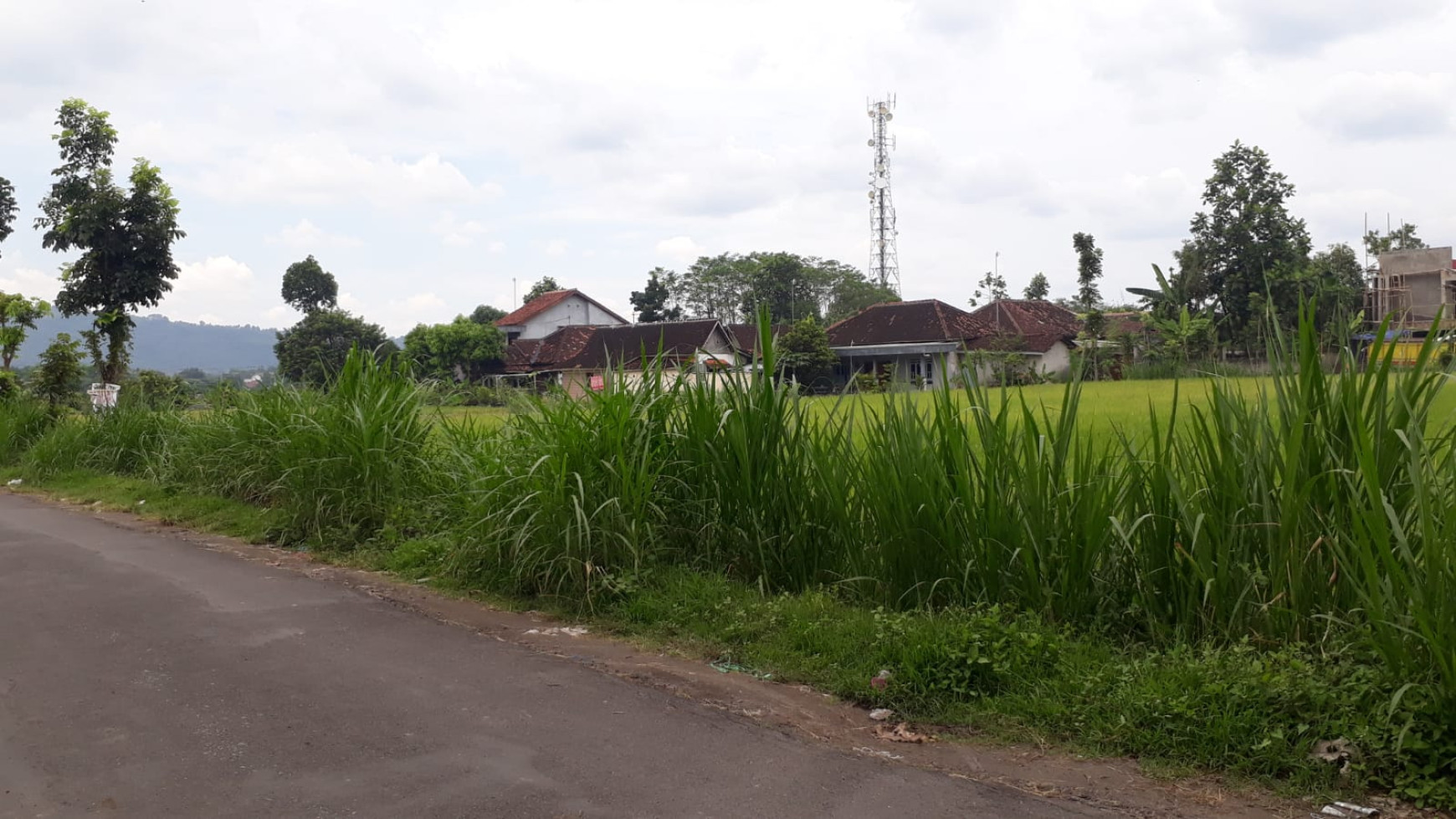 TANAH LUAS DI PRAMBANAN 