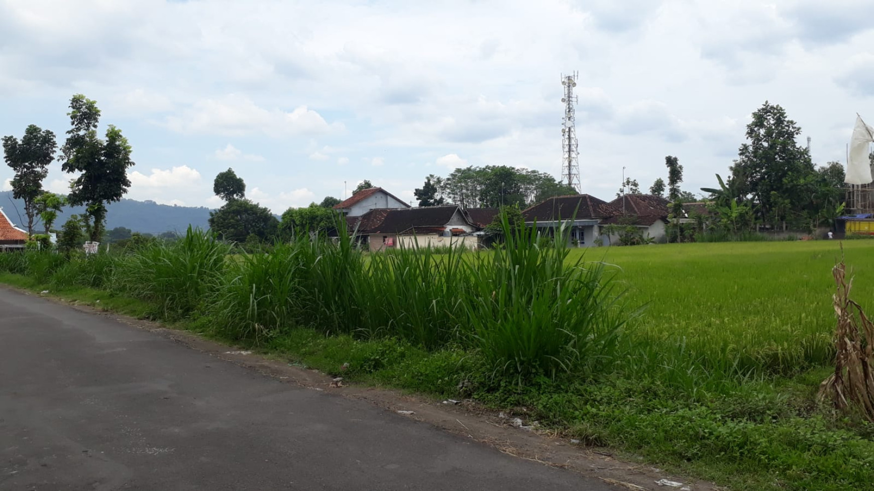 TANAH LUAS DI PRAMBANAN 