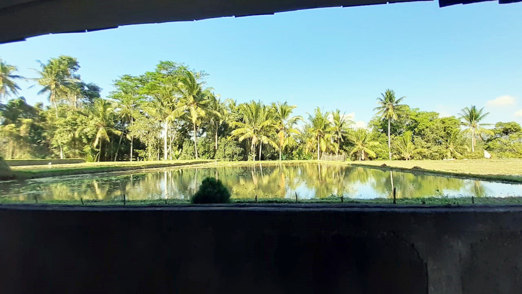 Rumah di Ubud Bali, cocok untuk usaha Resto/Homestay/Villa, View Sawah, SIAP HUNI