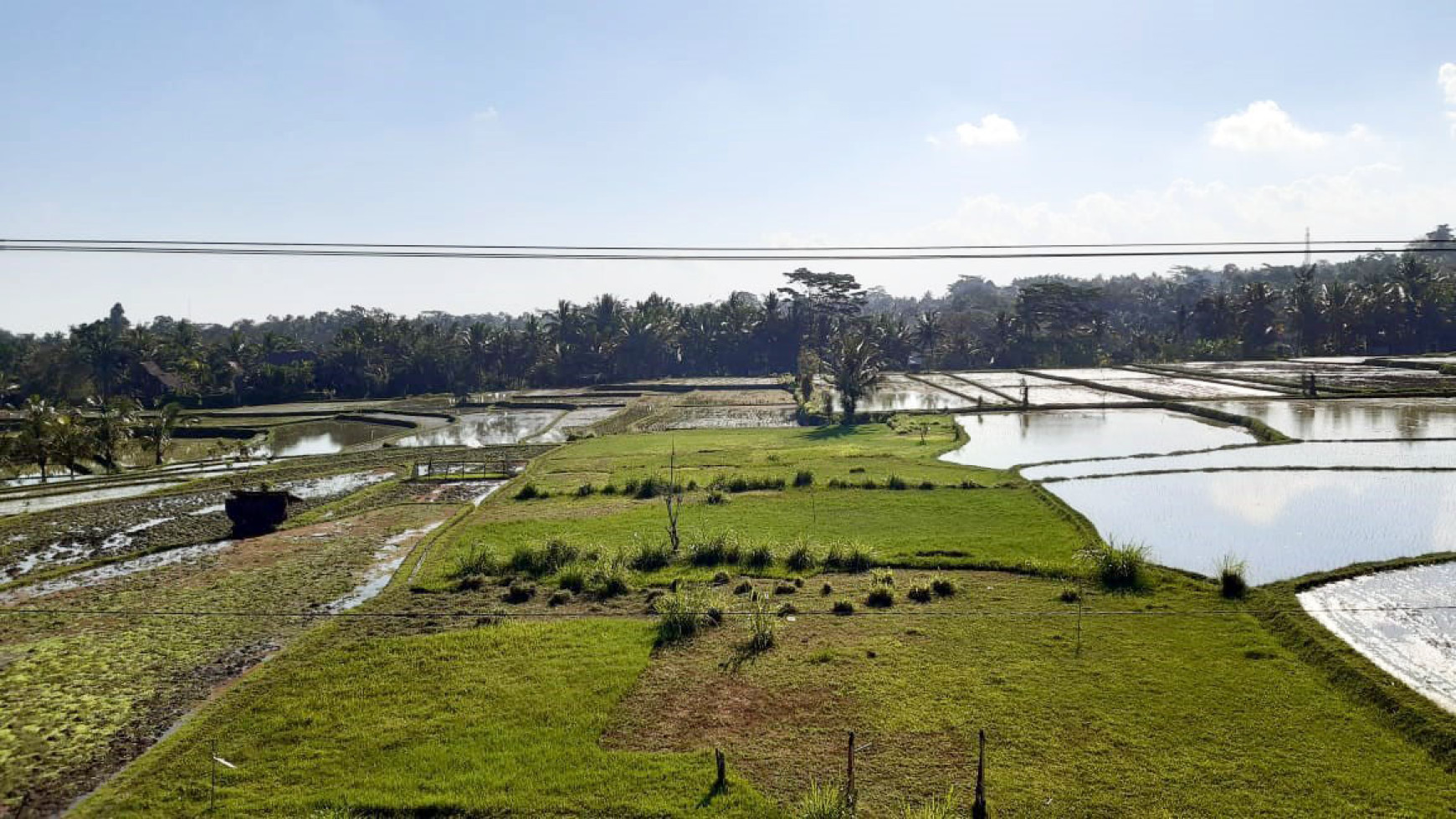 Rumah di Ubud Bali, cocok untuk usaha Resto/Homestay/Villa, View Sawah, SIAP HUNI