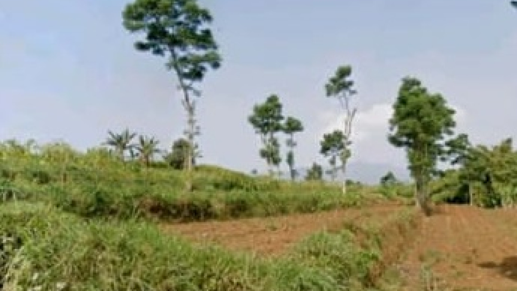 Kavling Siap Bangun di Tanjung Sari, Sumedang