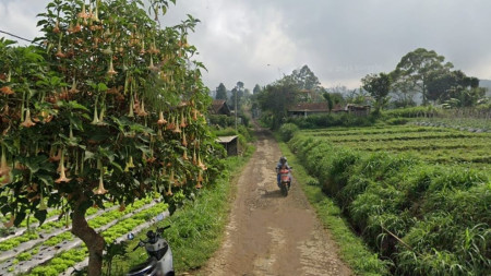 TANAH LUAS DI LEMBANG BANDUNG BARAT