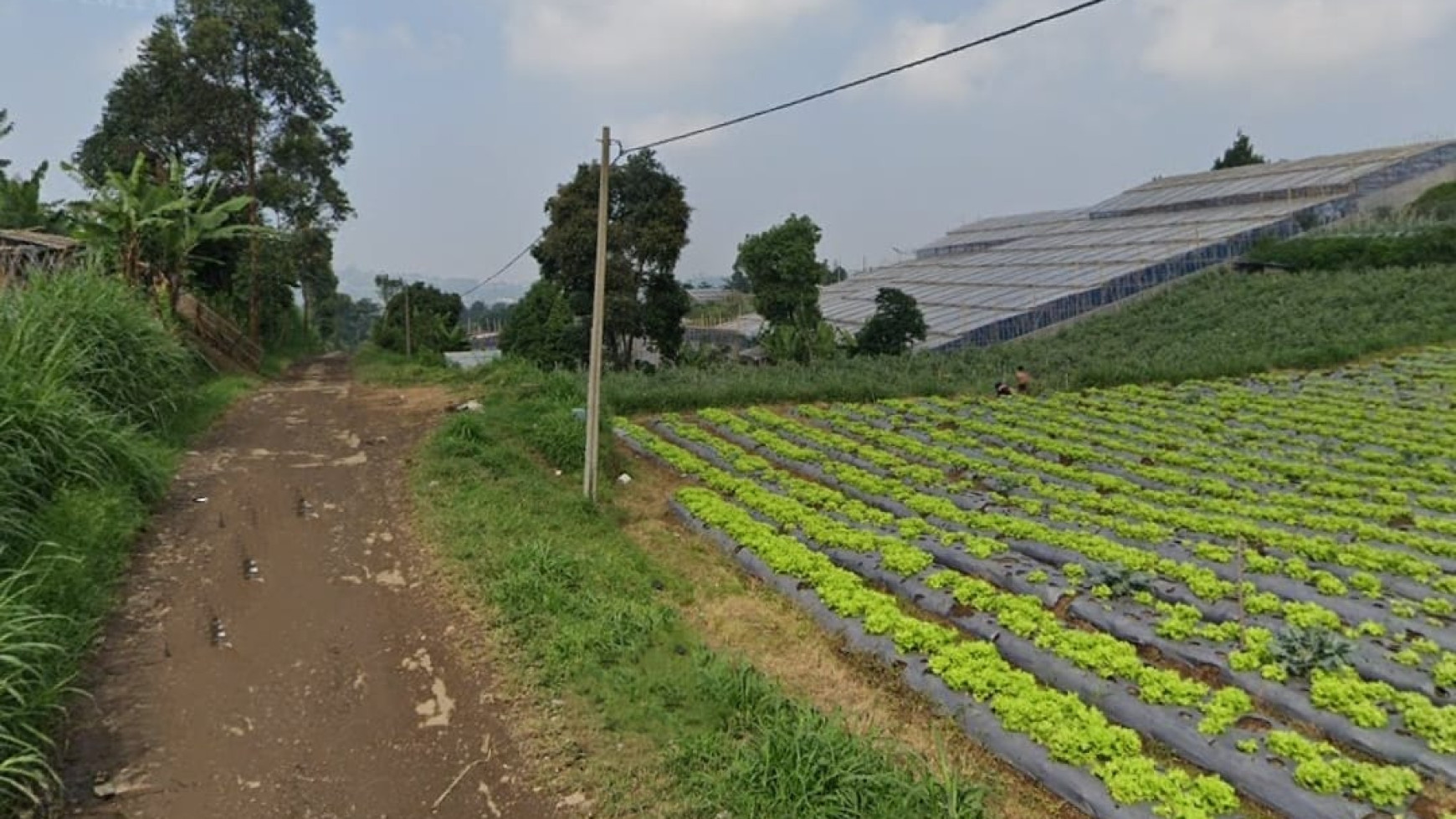 TANAH LUAS DI LEMBANG BANDUNG BARAT