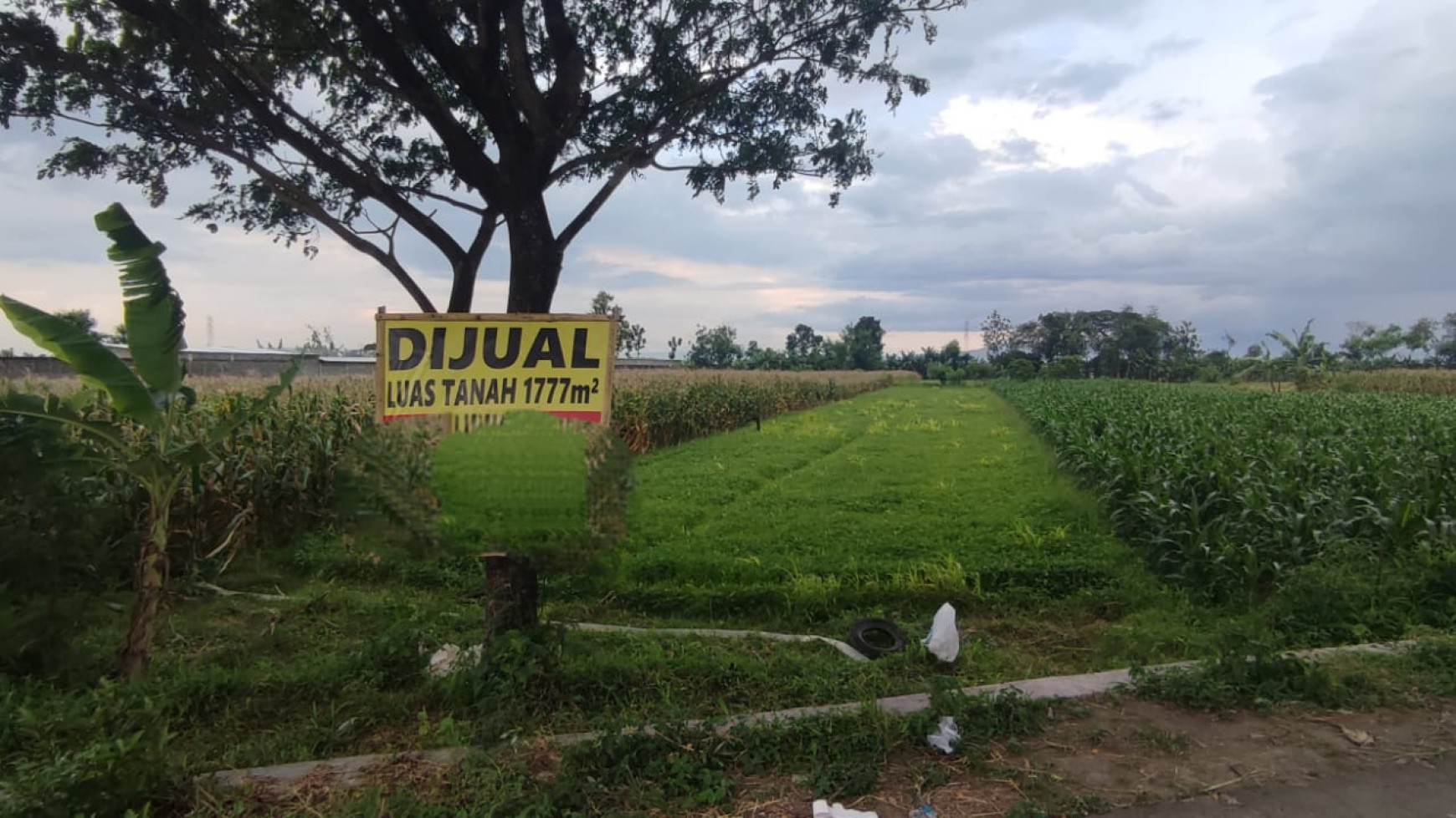 TANAH LUAS MEMANJANG DI CEPER KLATEN