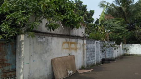 Rumah Bagus Di Jl Kesehatan Raya, Bintaro Jakarta Selatan