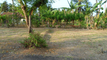 200 M2 Land Located In The West Of Buleleng