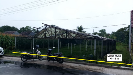 Tanah Sawah Seluas 4070 Meter Persegi Di Trimulyo Sleman