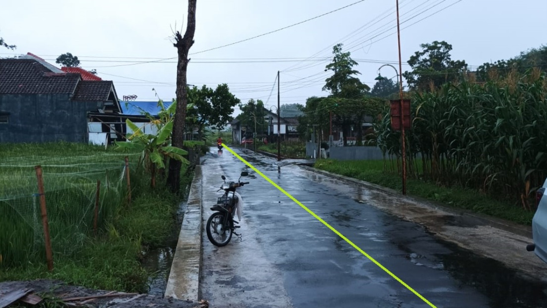 Tanah Sawah Seluas 4070 Meter Persegi Di Trimulyo Sleman