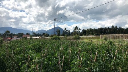 Tanah di Pangalengan