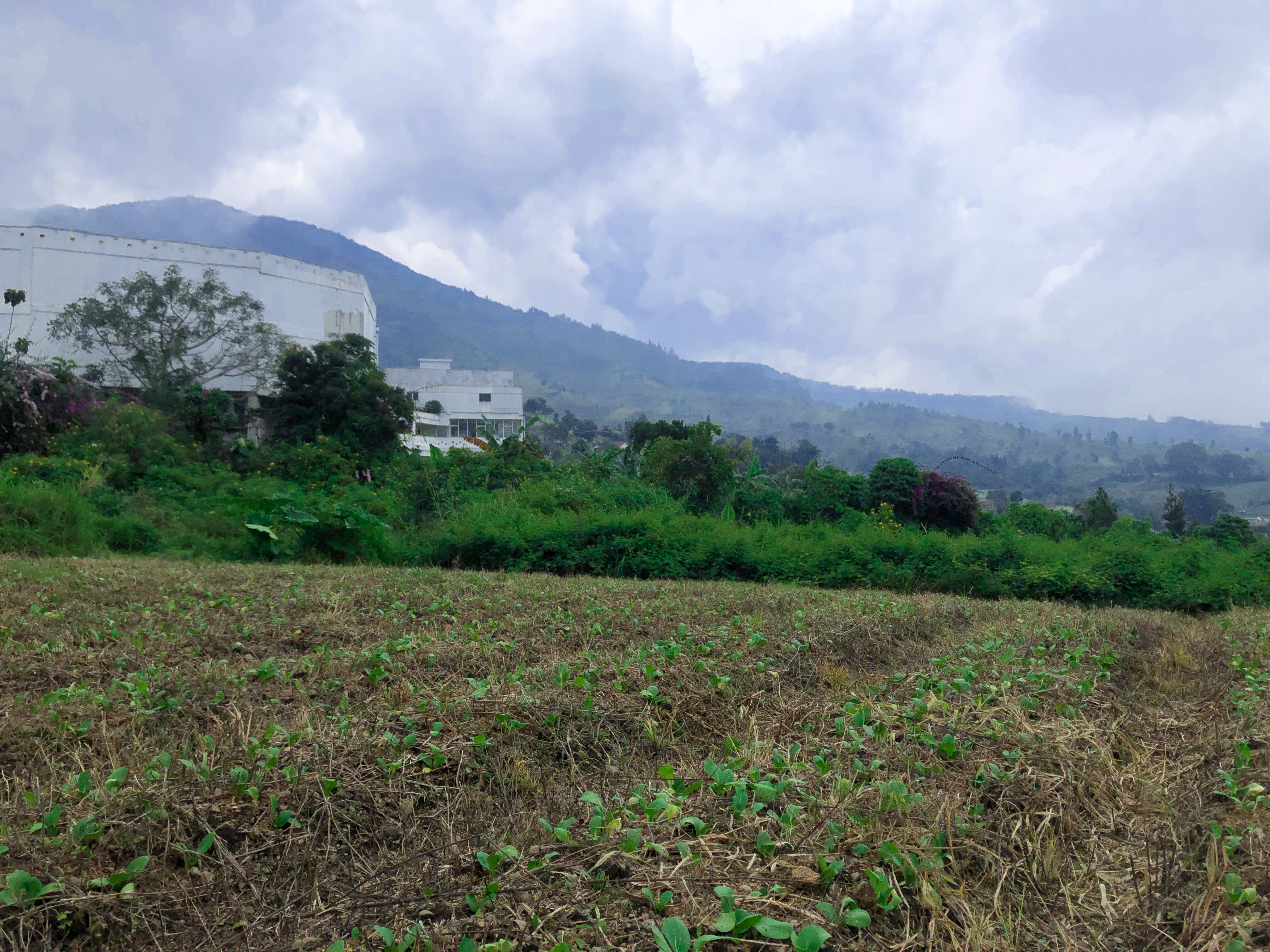 Kavling Komersial 1,5 H Puncak, Cipanas, Jawa Barat