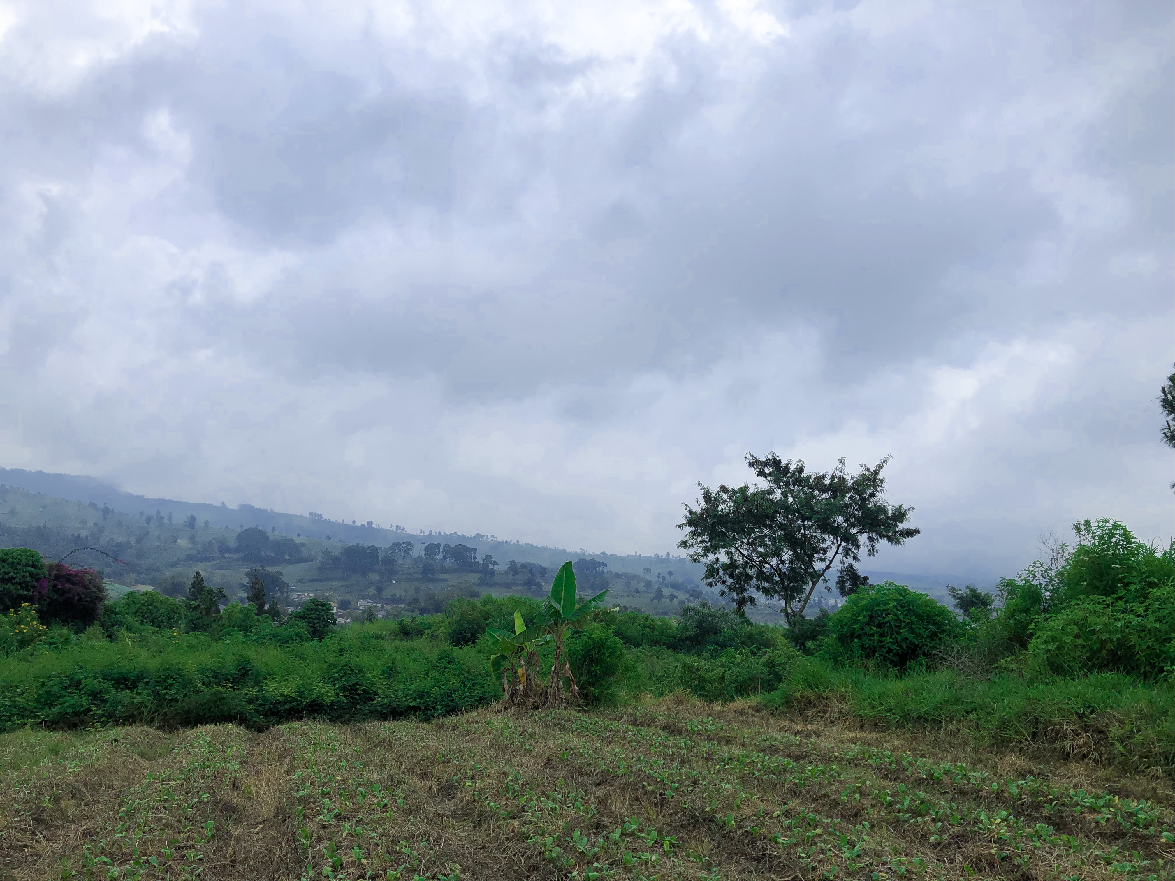 Kavling Komersial 1,5 H Puncak, Cipanas, Jawa Barat