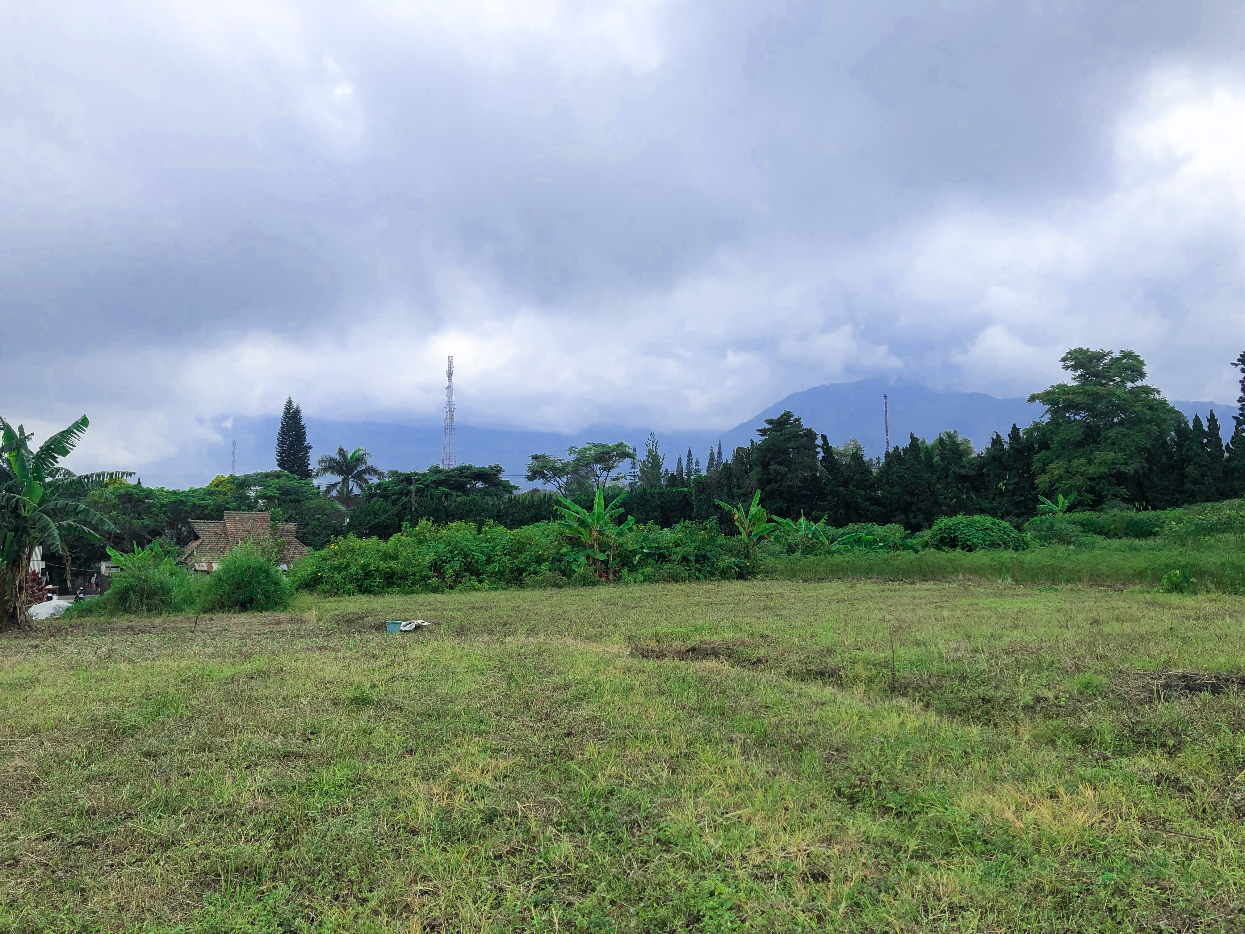 Kavling Komersial 1,5 H Puncak, Cipanas, Jawa Barat