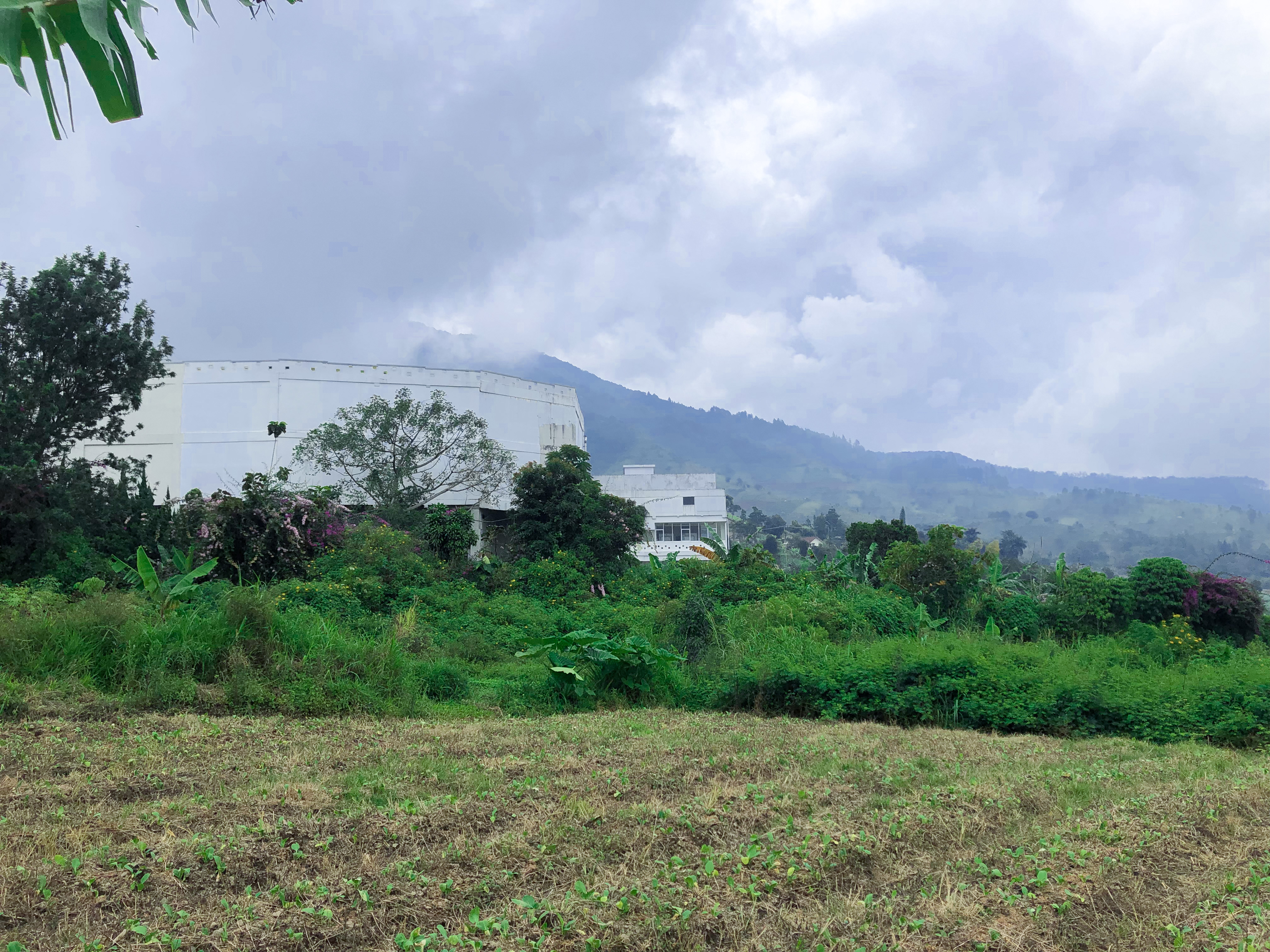 Kavling Komersial 1,5 H Puncak, Cipanas, Jawa Barat