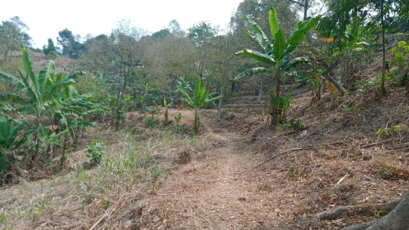 Lahan Luas daerah Perbukitan @Jl Gunung Siem, Suka Makmur, Jonggol