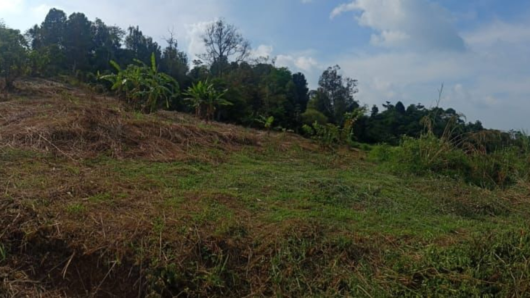 Lahan Luas daerah Perbukitan @Jl Gunung Siem, Suka Makmur, Jonggol