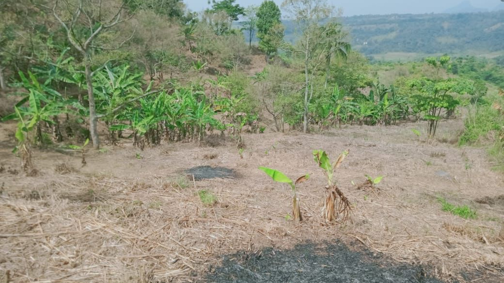 Lahan Luas daerah Perbukitan @Jl Gunung Siem, Suka Makmur, Jonggol