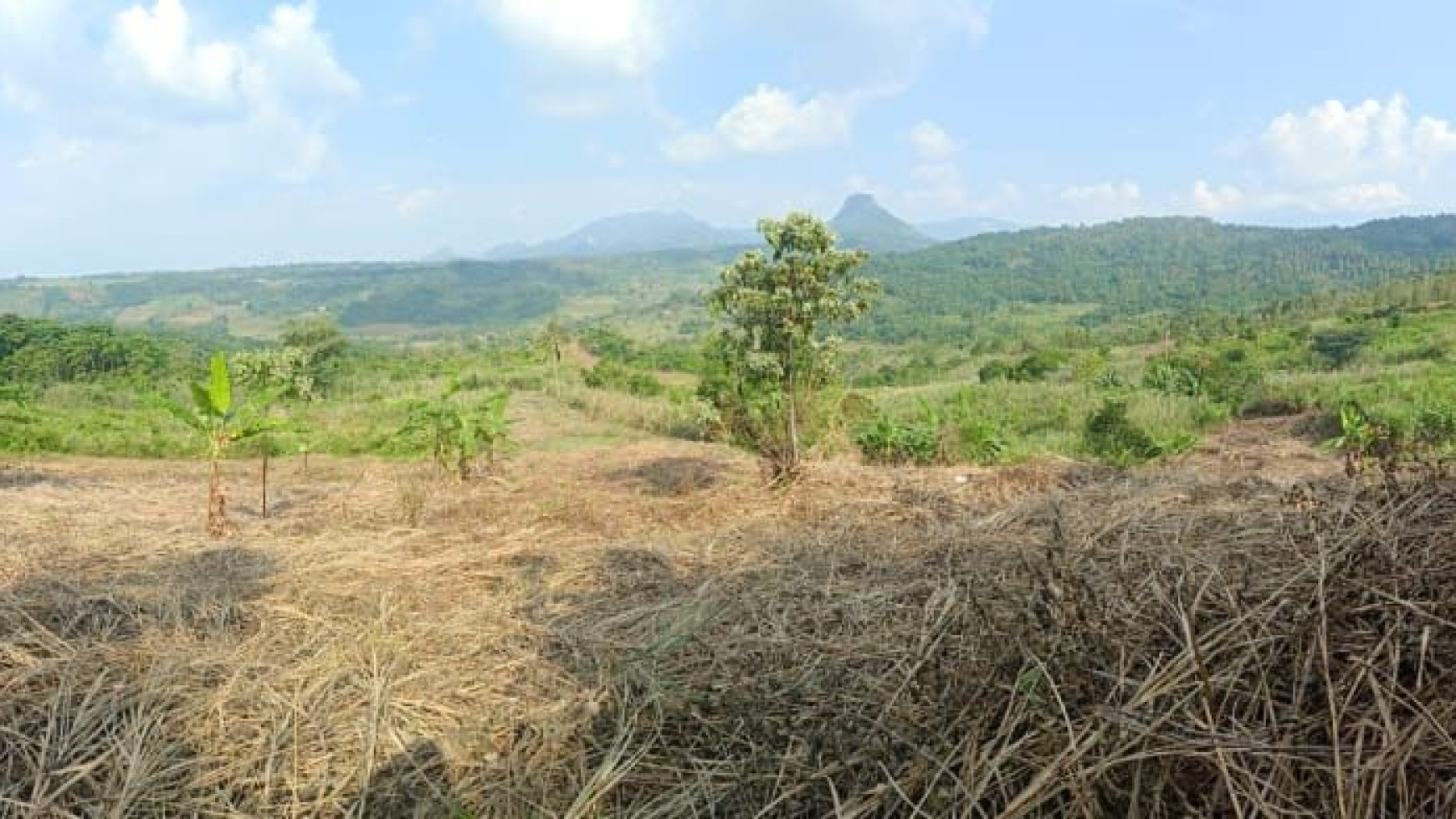 Lahan Luas daerah Perbukitan @Jl Gunung Siem, Suka Makmur, Jonggol