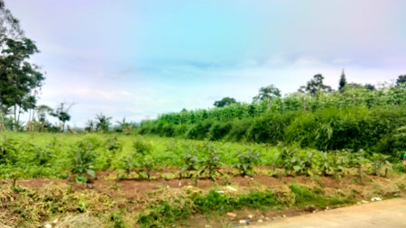 Tanah Murah Siap Bangun di jalan Ciuya, Cimahi Bandung Barat