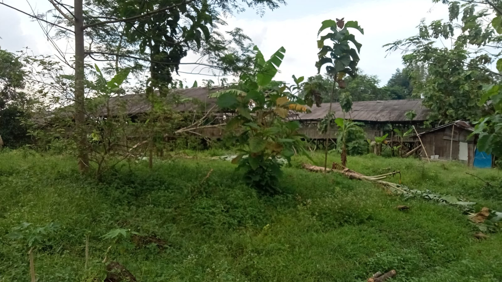 Kavling Siap Bangun Pinggir Jalan @Desa Barengkok, Jasinga, Bogor