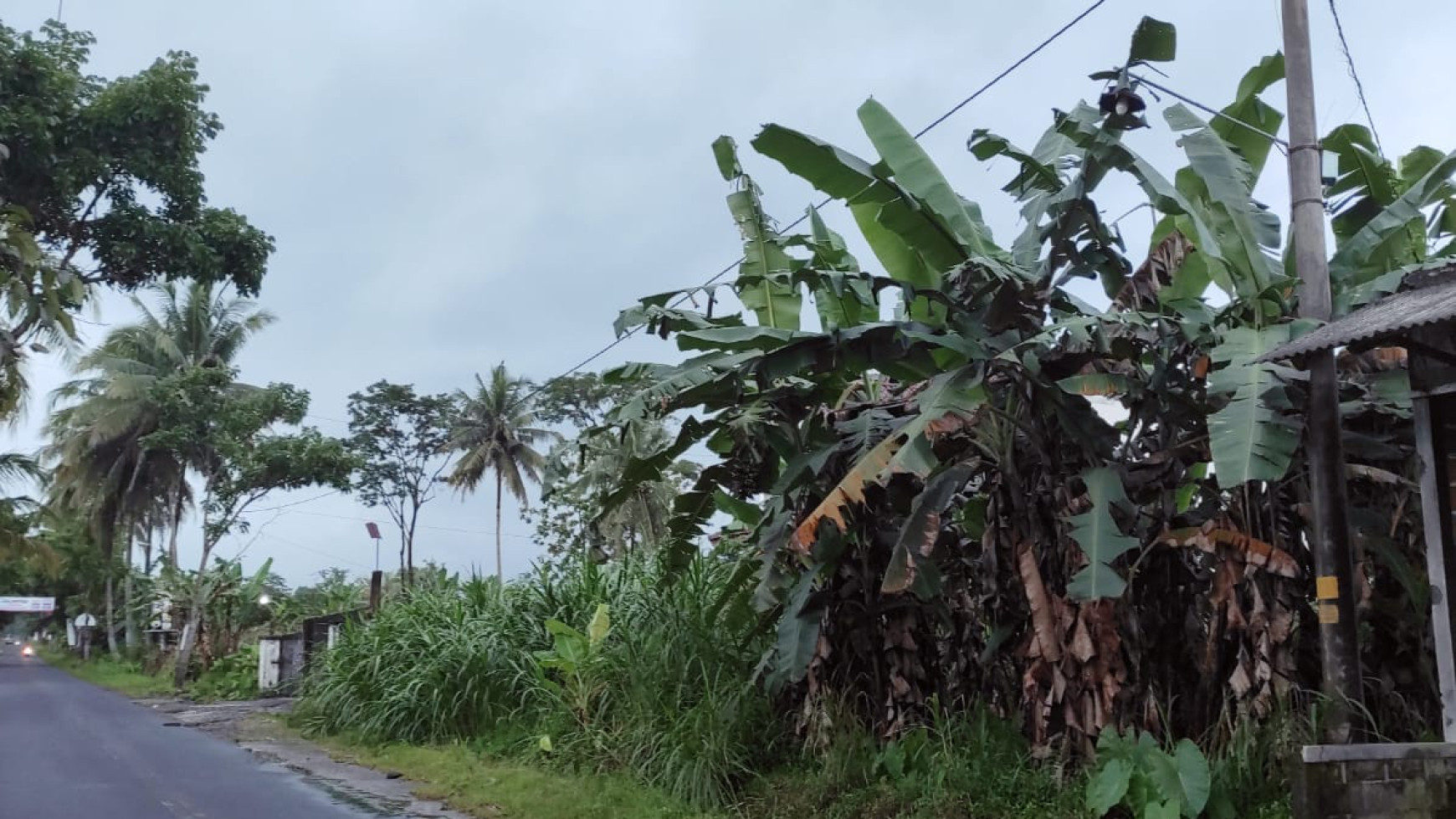 Tanah Luas 3863 Di Pinggir Jl Raya Pakem Cocok Untuk Perumahan 