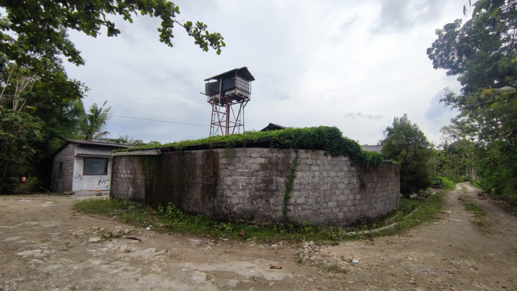 Tanah Dan Peternakan Di Kawasan Peternakan Playen Gunung Kidul