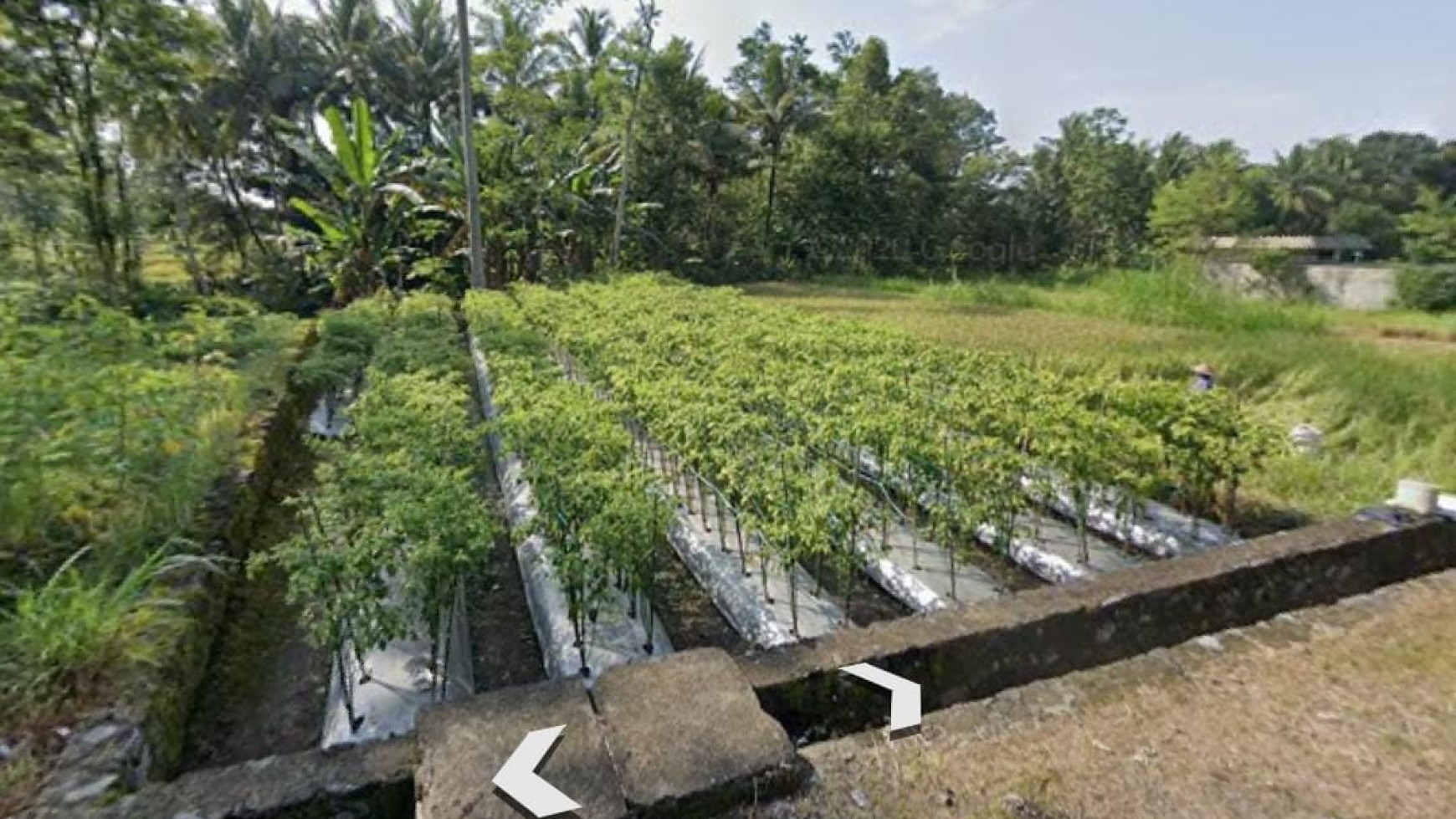 TANAH SELUAS 373 METER DI CANDI KARANG