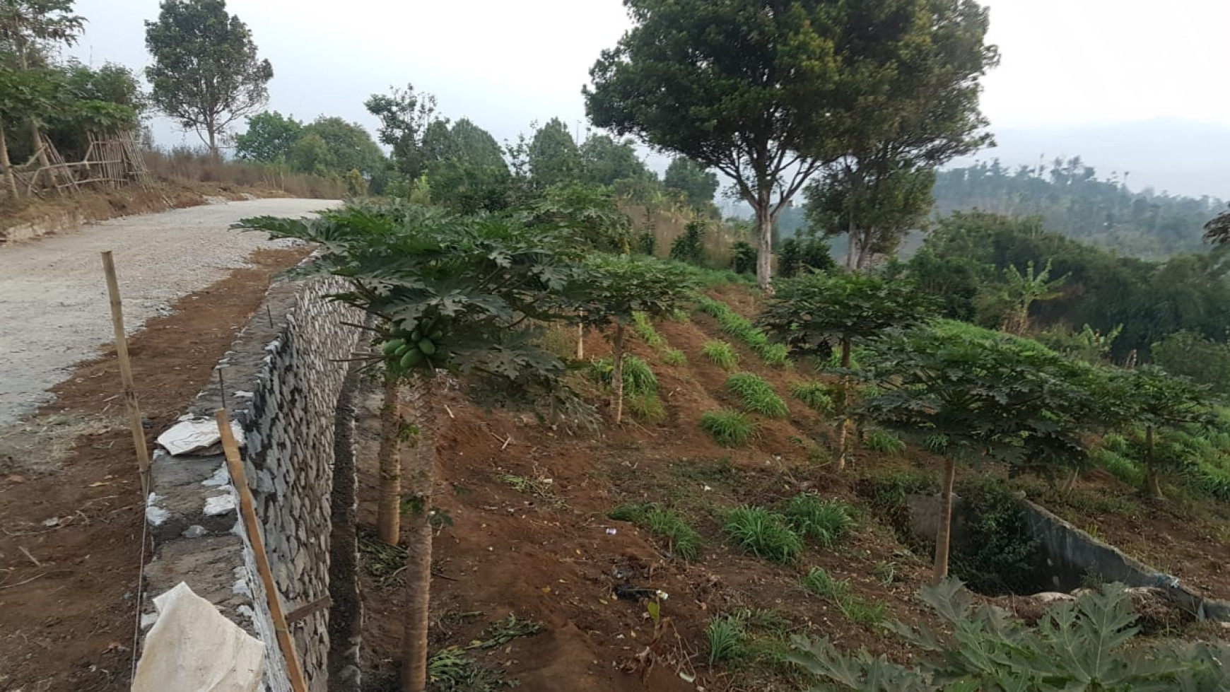 Tanah Siap Bangun di jl Desa Bojong Koneng, Padalarang