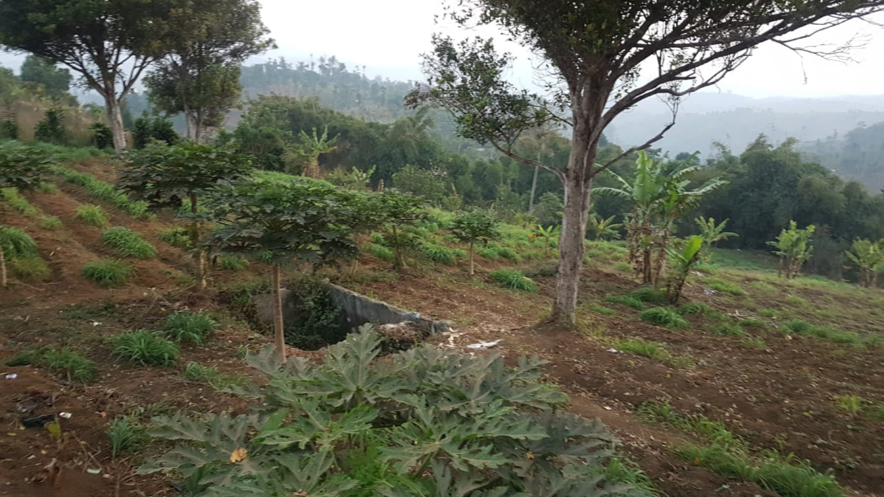 Tanah Siap Bangun di jl Desa Bojong Koneng, Padalarang