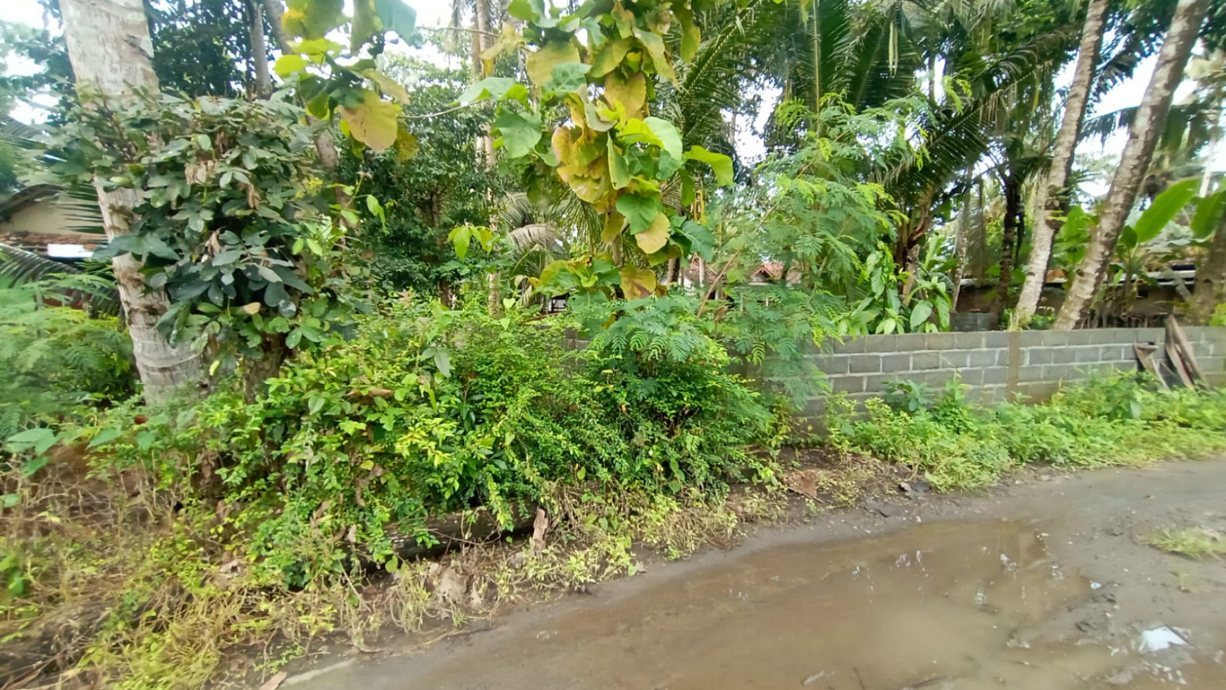 TANAH PEKARANGAN DI GALUR KULONPROGO