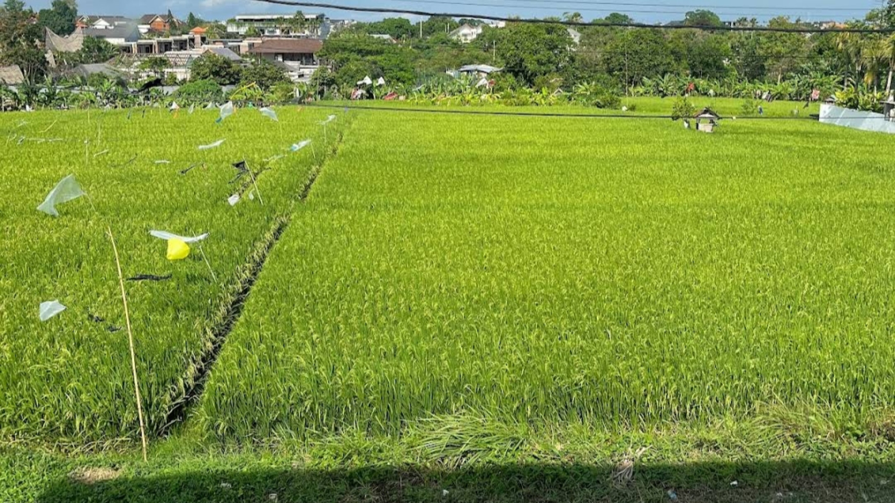 Beautiful villa with rice field view and near to the beach