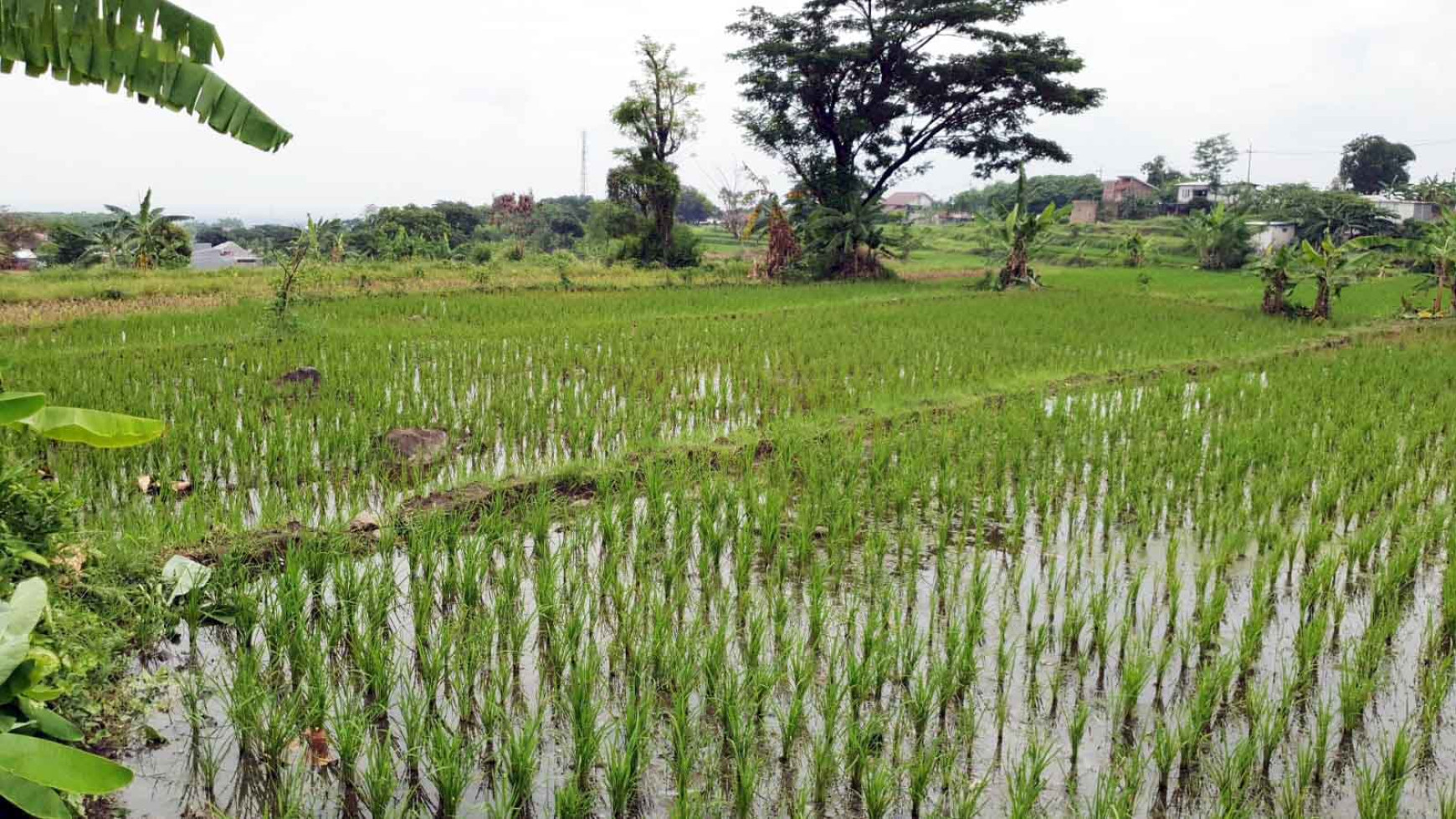 Tanah di Jl. PDAM, Plintahan, Pandaan - Pasuruan, Dekat Ayam Goreng Sri Pandaan